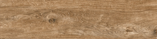 Gạch gỗ Ấn Độ (20x120cm)5601