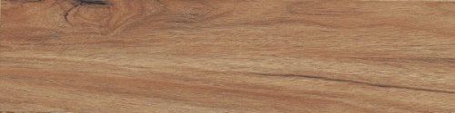 Gạch gỗ Ấn Độ (20x120cm)6201